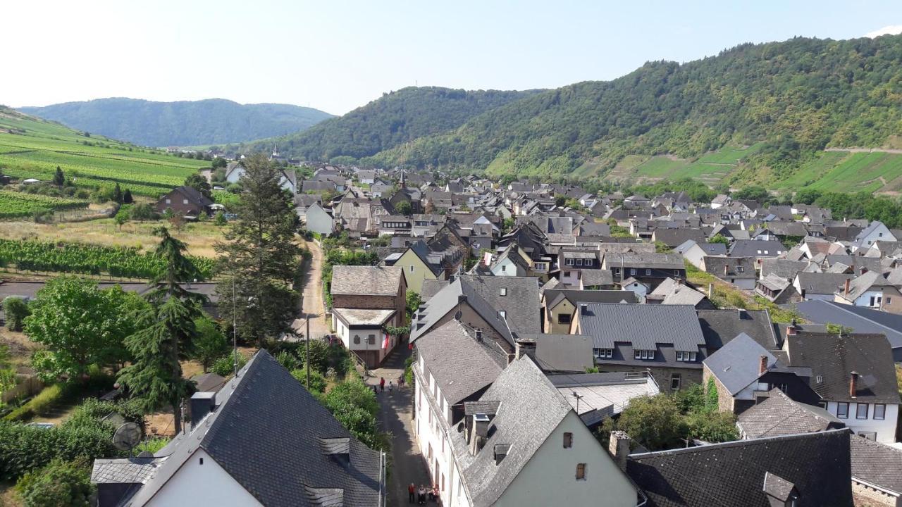 Ferienwohnungen Am Bruttiger Moselsteig Exterior photo