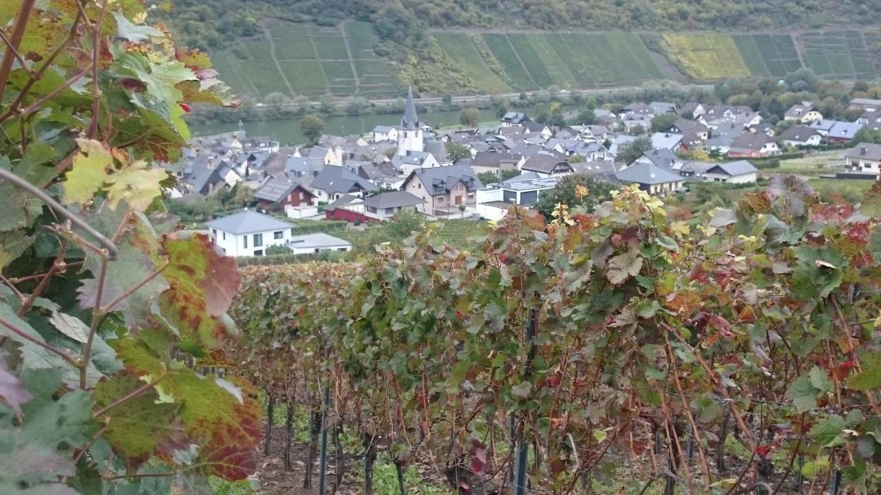 Ferienwohnungen Am Bruttiger Moselsteig Exterior photo